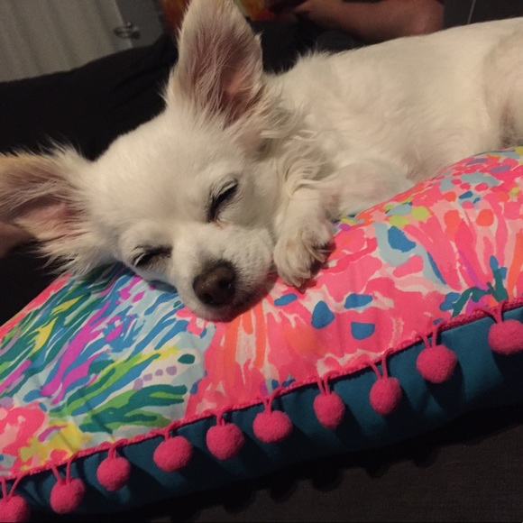 Meet Your Posher 🌴💕Cassi 💕🌴 - Picture 3 of 8